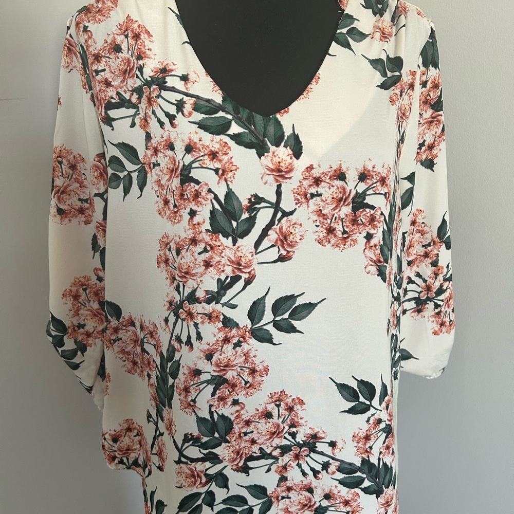 NWOT Ezra Floral cream and red V-Neck Blouse, size Large